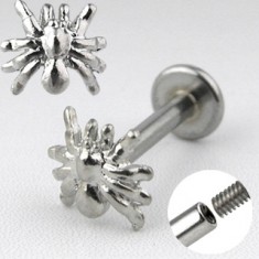 piercing-do-brady-labret-s-pavukom.jpg